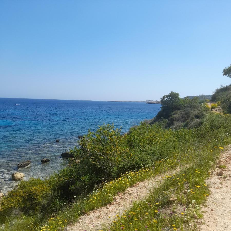 Marias Villa Protaras Exterior photo